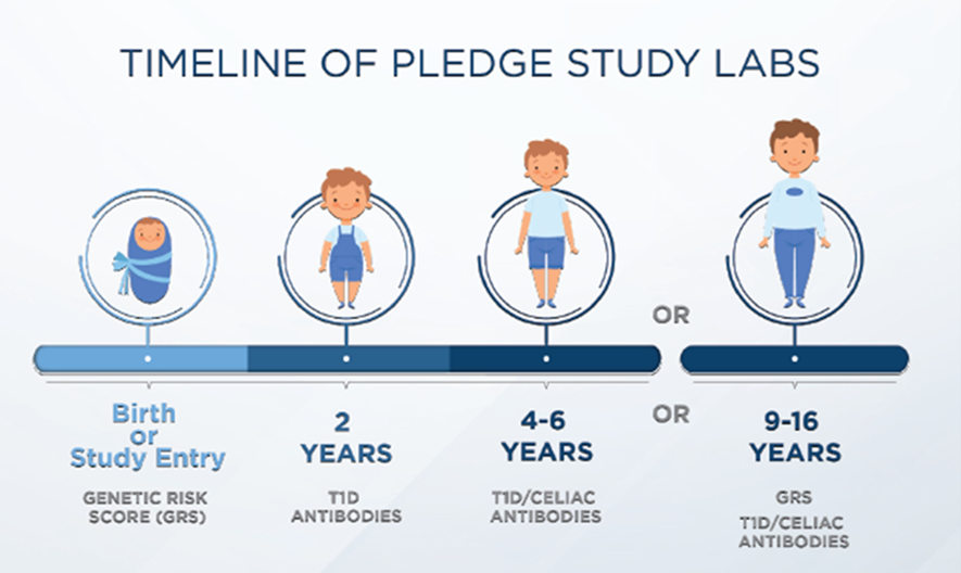 Graphics describing the timeline of pledge study labs. The stages are birth, 2 years, 4-6 years, or 9-16 years