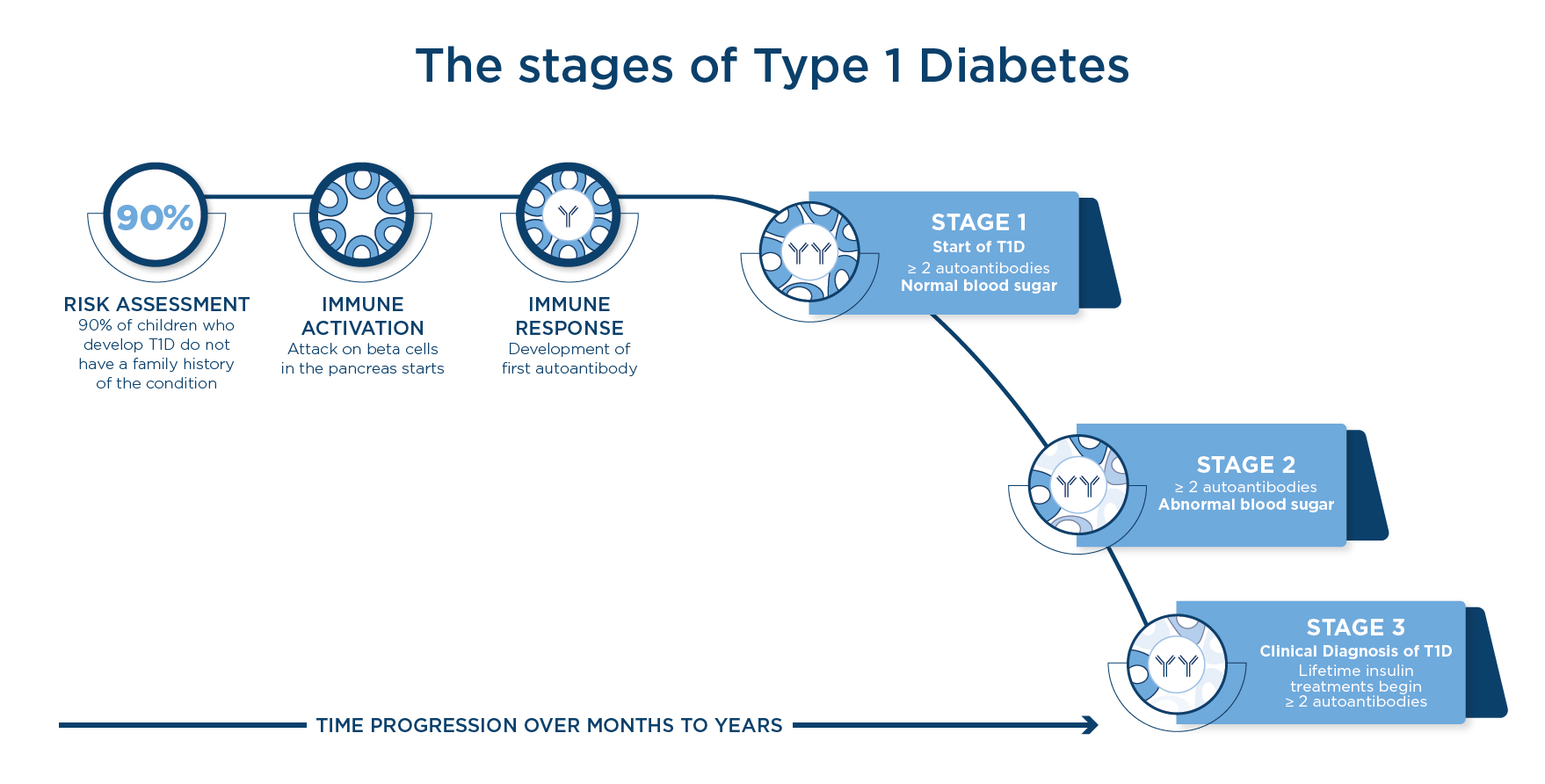 The stages of Type 1 Diabetes chart