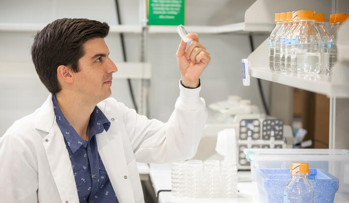 researcher inspecting sample